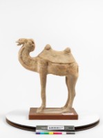 藏品(繪彩駝)的圖片