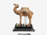 藏品(繪彩駝)的圖片