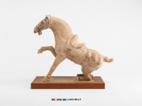 藏品(繪彩馬)的圖片