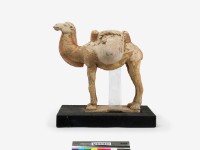 藏品(繪彩駝)的圖片