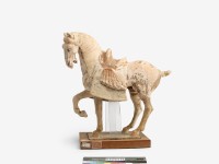 藏品(繪彩馬)的圖片