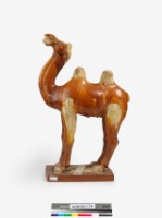 藏品(黃釉駝)的圖片