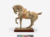 藏品(繪彩馬)的圖片