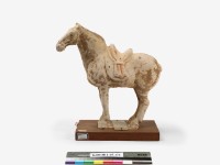 藏品(繪彩馬)的圖片