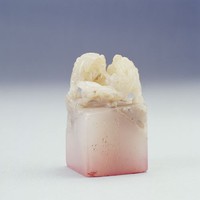 藏品(雙獅鈕魚腦凍)的圖片