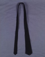 藏品(胡嘉恆中將領帶)的圖片