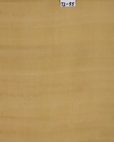 藏品(舊絹)的圖片