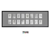 藏品(台灣家書：浮雲遊子2)的圖片