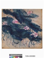 藏品(荷韻)的圖片