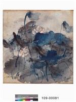 藏品(荷韻)的圖片