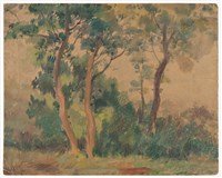 藏品(樹景)的圖片