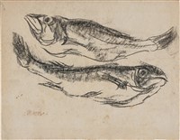 藏品(黑口魚、黑喉)的圖片