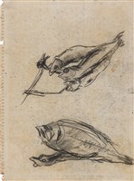 藏品(柳葉魚、比目魚)的圖片