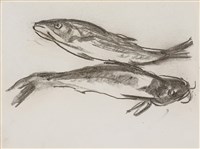 藏品(鯰魚、金線魚)的圖片