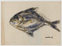 藏品(黑鯧)的圖片