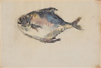 藏品(白鯧)的圖片