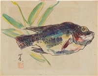 藏品(吳郭魚)的圖片