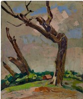 藏品(枯樹)的圖片