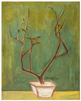 藏品(梅)的圖片