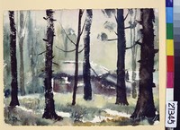 藏品(殘秋)的圖片