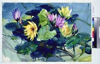 藏品(花卉)的圖片