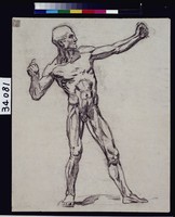 藏品(男性立姿肌肉分析(前))的圖片