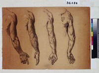 藏品(男性手部姿態分析(後))的圖片