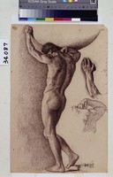 藏品(男性三種姿態肌肉之變化練習)的圖片