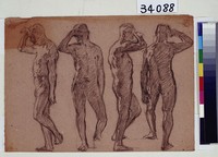 藏品(男性背肌練習)的圖片