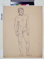 藏品(男性人體素描)的圖片