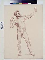 藏品(男性人體素描)的圖片