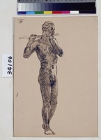 藏品(男性人體素描)的圖片