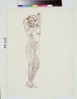 藏品(女性人體素描)的圖片