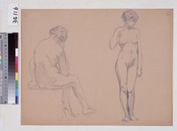 藏品(女性人體素描)的圖片