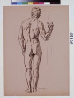 藏品(男性人體素描)的圖片