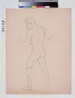 藏品(男性人體素描)的圖片