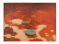 藏品(蓮影)的圖片