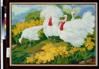 藏品(火雞)的圖片