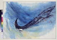 藏品(孔雀)的圖片