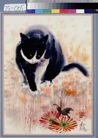 藏品(貓戲蝶)的圖片