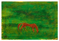 藏品(馬)的圖片