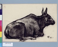 藏品(黃牛)的圖片