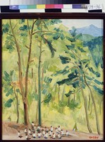 藏品(野外生活)的圖片