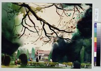 藏品(頭寮伴英靈)的圖片