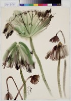 藏品(殘荷)的圖片