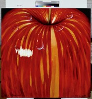 藏品(方蘋果)的圖片