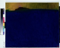 藏品(龜山)的圖片