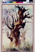 藏品(怪木雄姿)的圖片