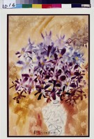 藏品(胡姬花)的圖片