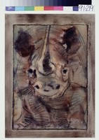 藏品(犀牛)的圖片